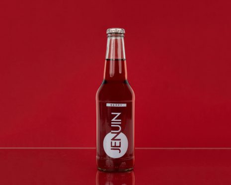 {{brizy_dc_image_alt imageSrc=